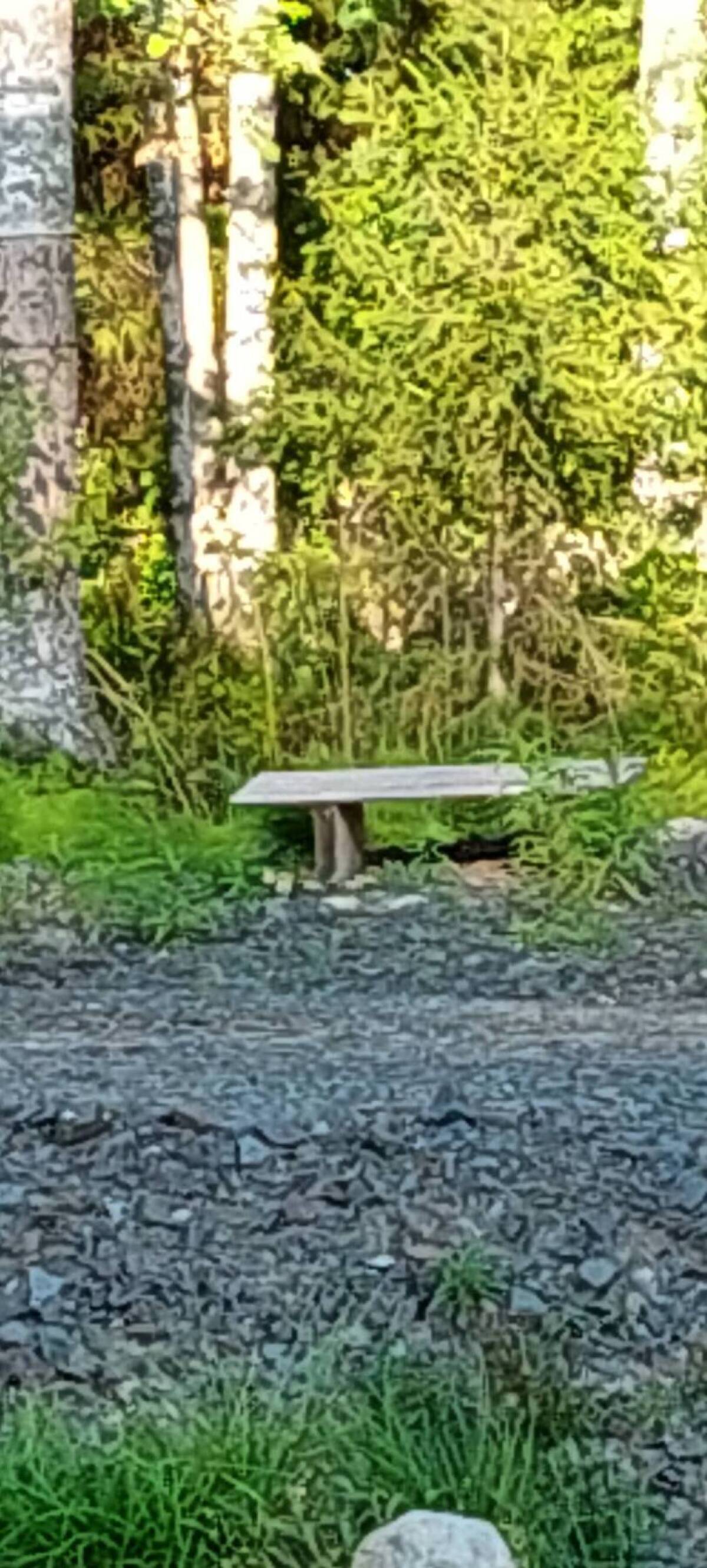 Эко Апартаменты на берегу красивого озера