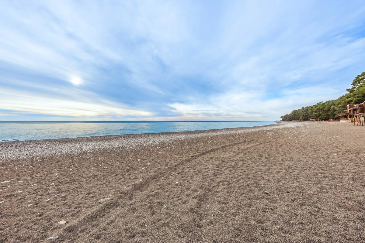 Курортный отель Отель Eco House Pitiunt