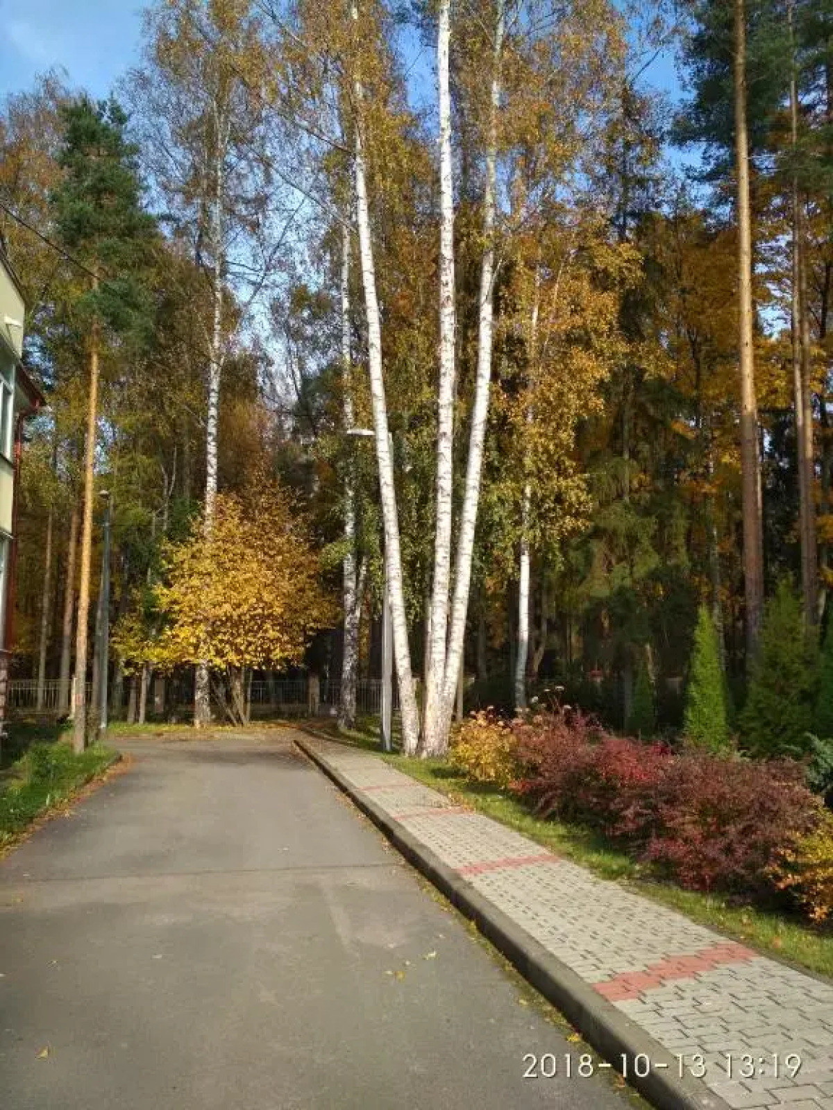 Апартаменты с садом Павловск