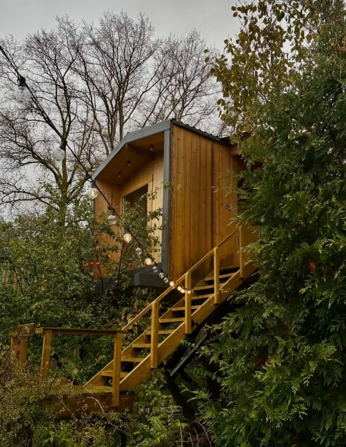 Гостевой дом Дом на дереве