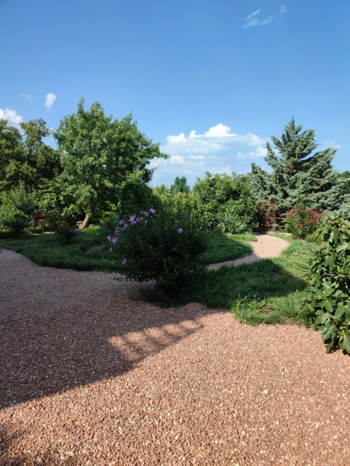 Гостевой дом Чудная Лаванда