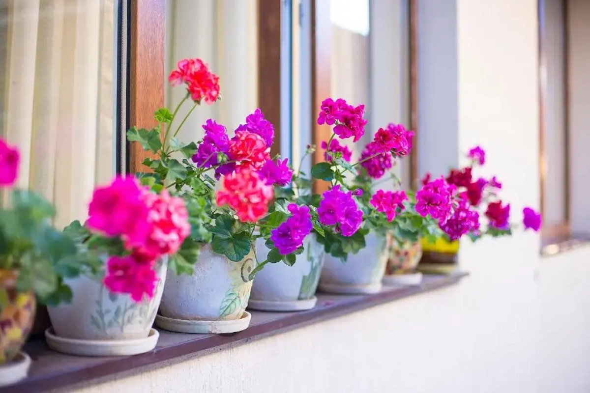 Гостевой дом Сапфир