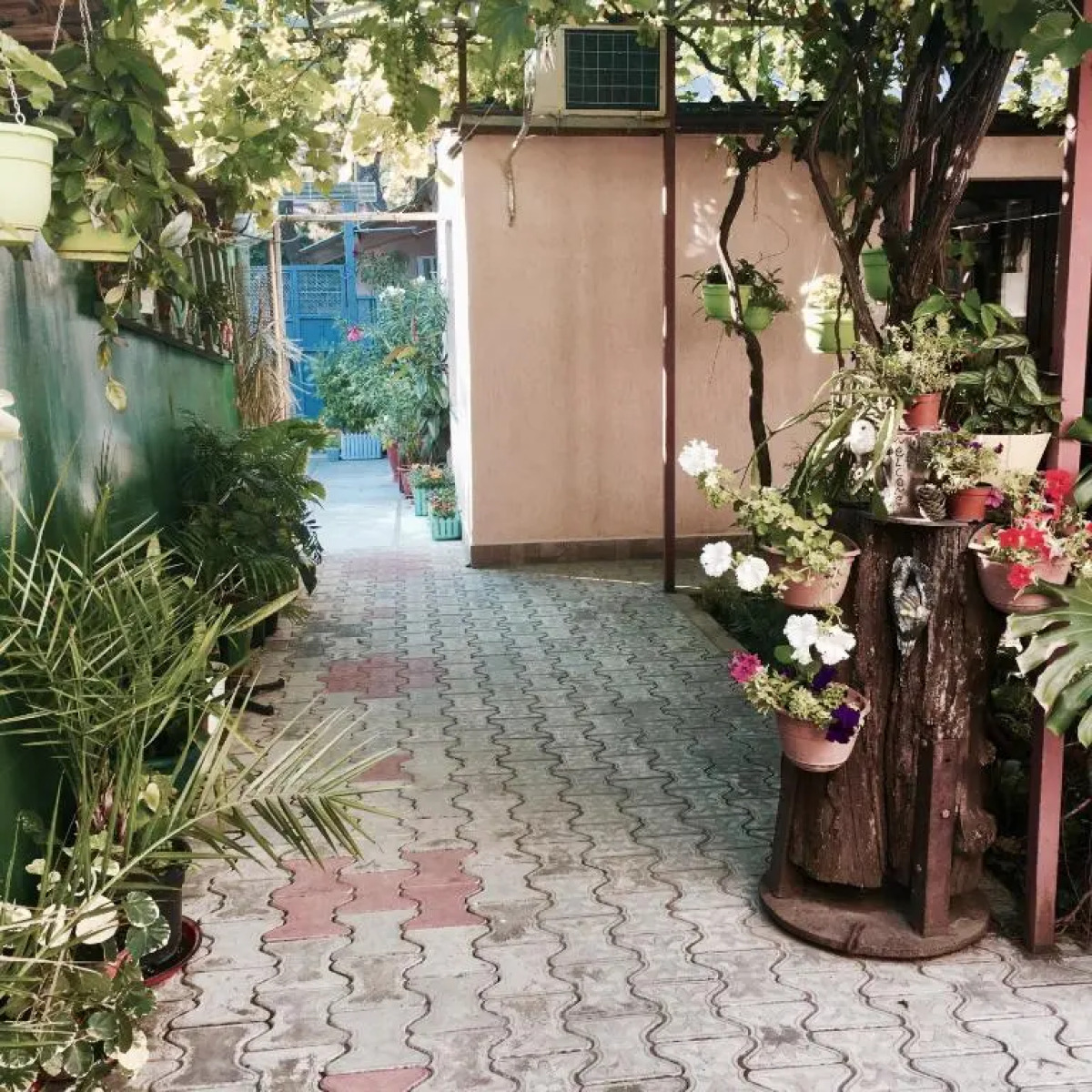 Гостевой дом Тенистый дворик