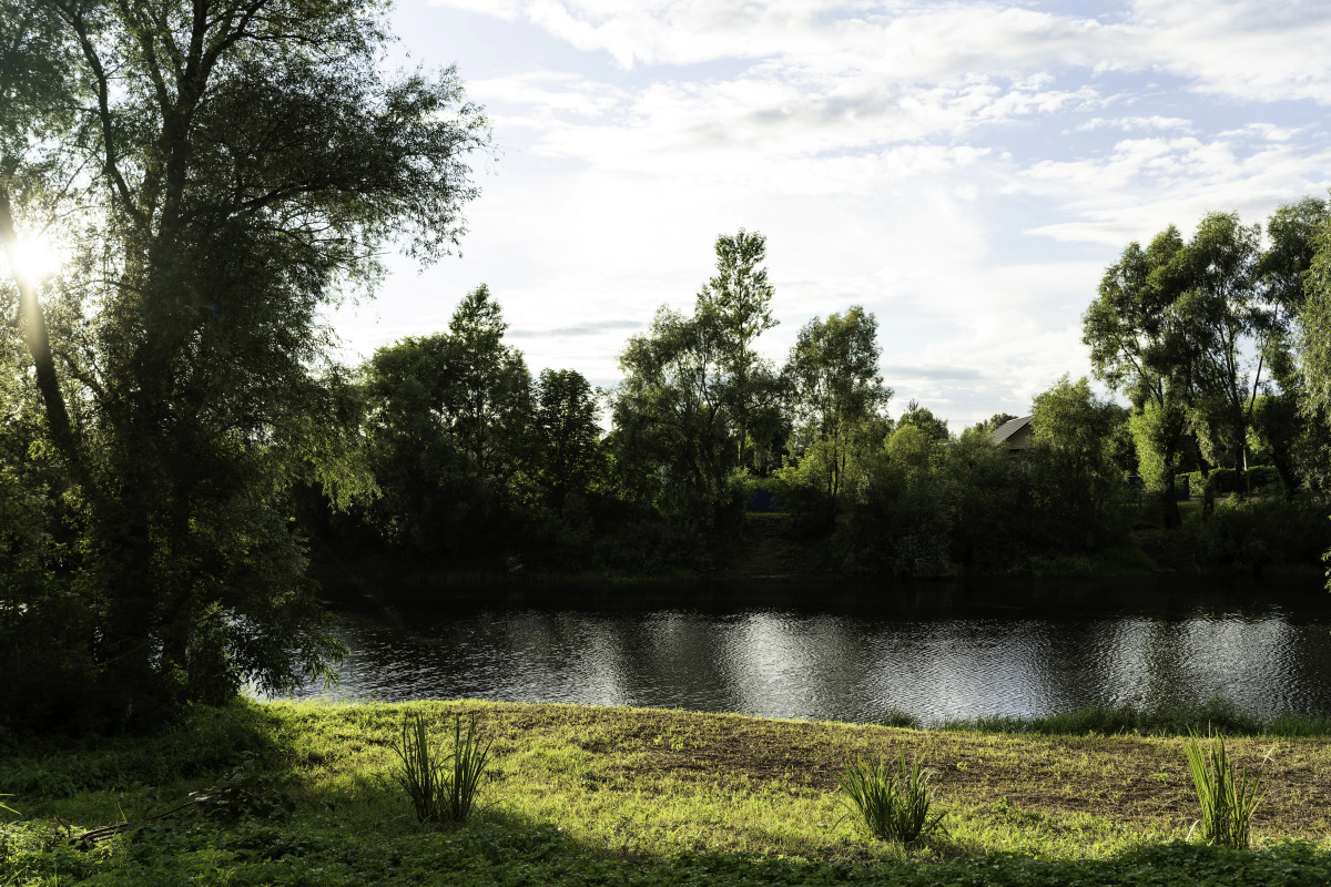 Вилла Дом Писателя