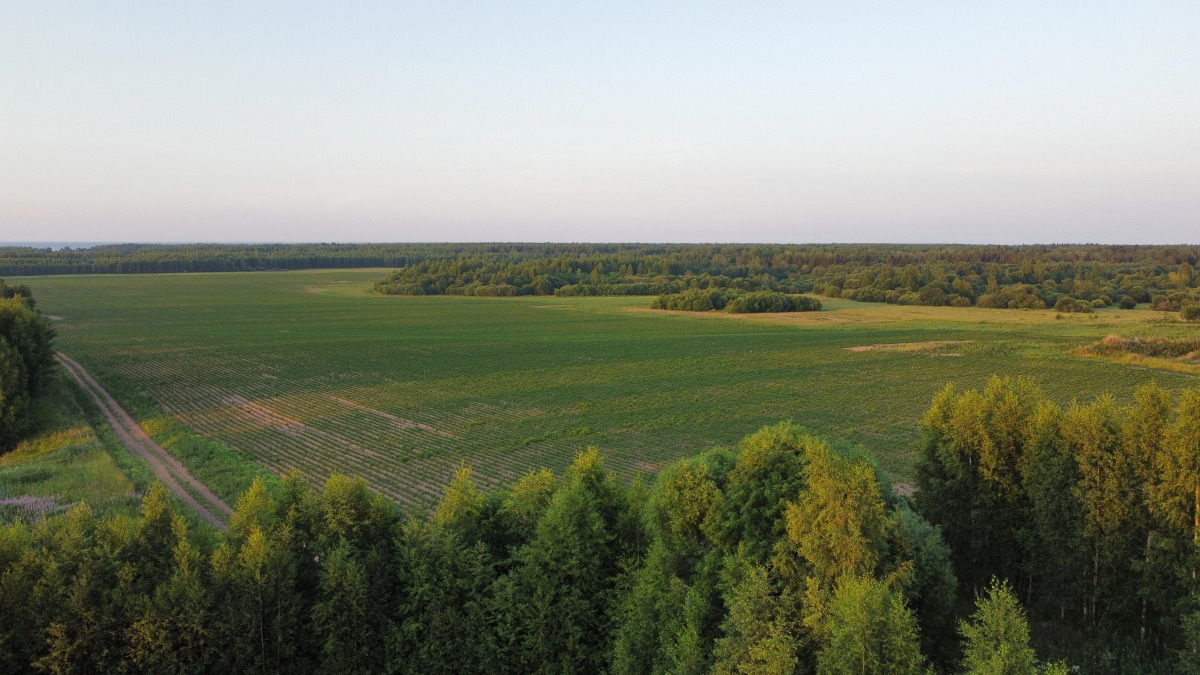 Гостевой дом Брейтово