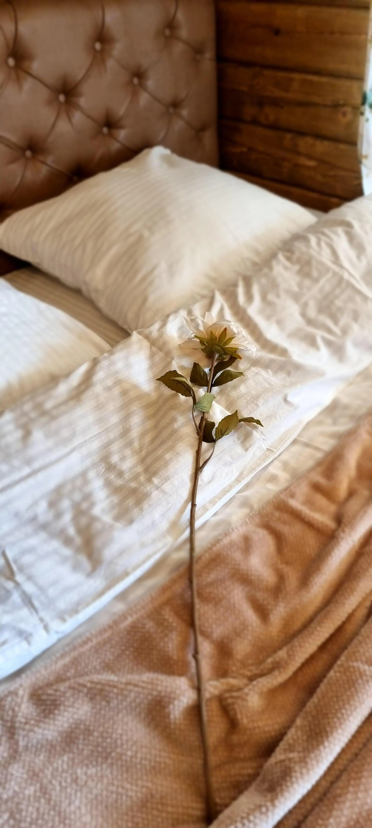 Гостевой Дом Чудесное Место