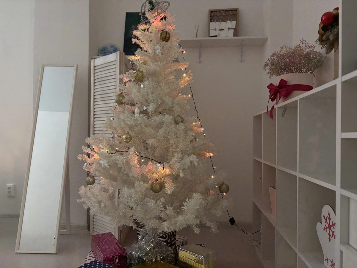 Апартаменты бизнес-класса  рядом ледовый дворец