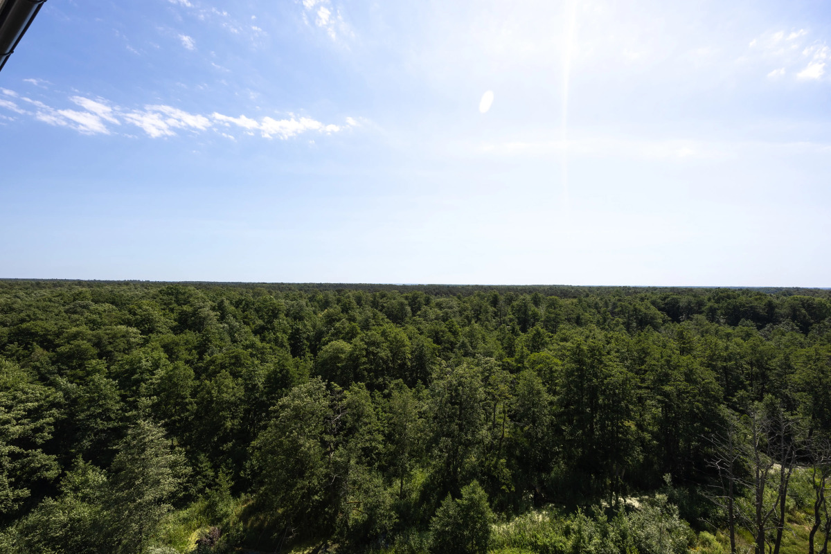 Апартаменты Созвездие