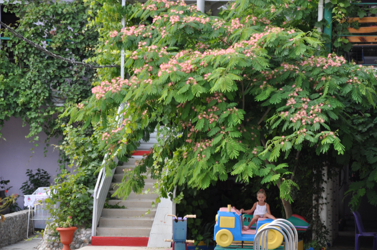 Гостевой Дом Ирина