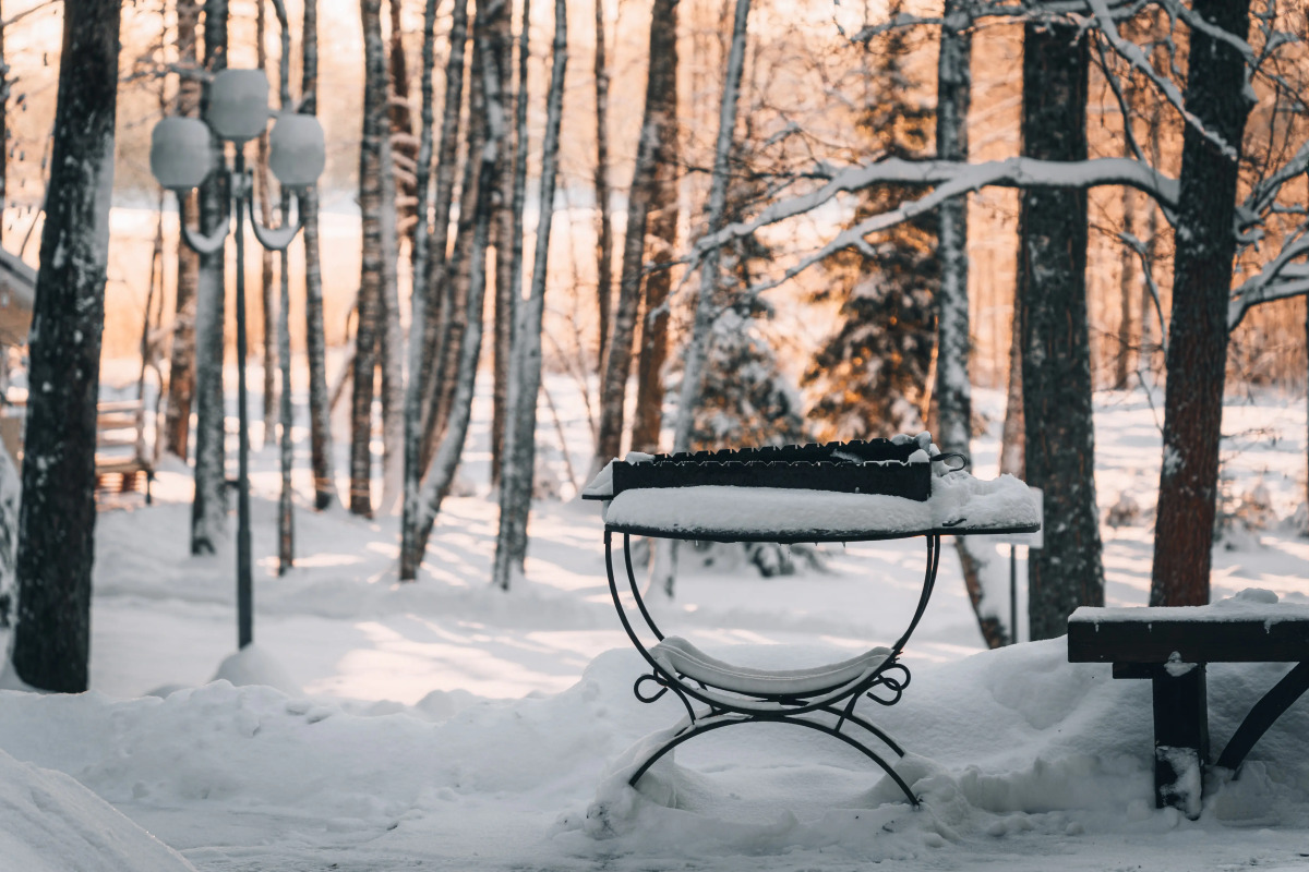 База Отдыха Ромашка Клуб