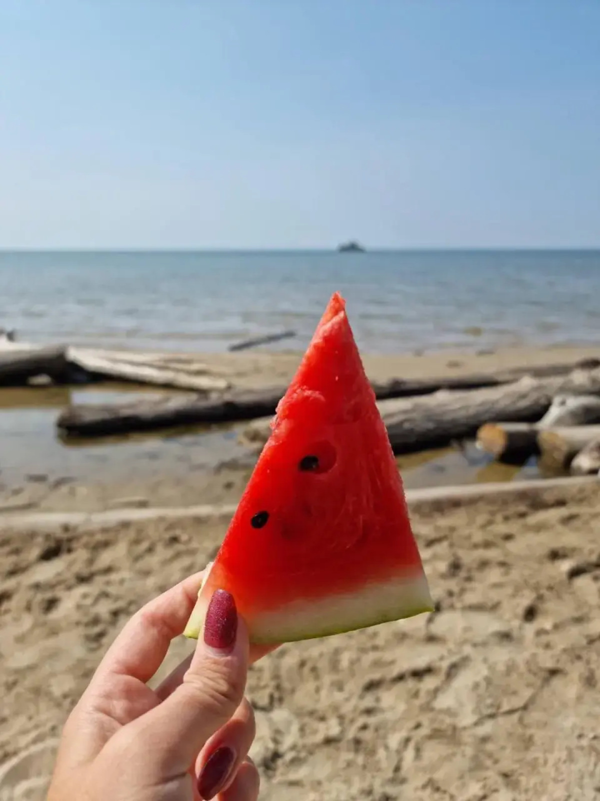 Апартаменты Лесная Свежесть