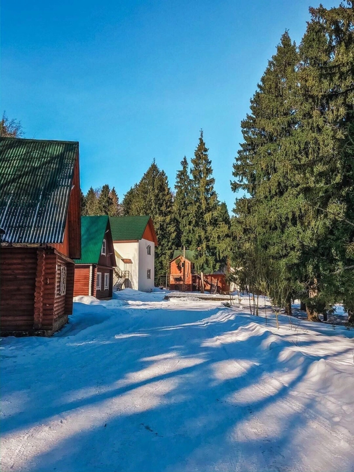 Отель Лесная Сказка