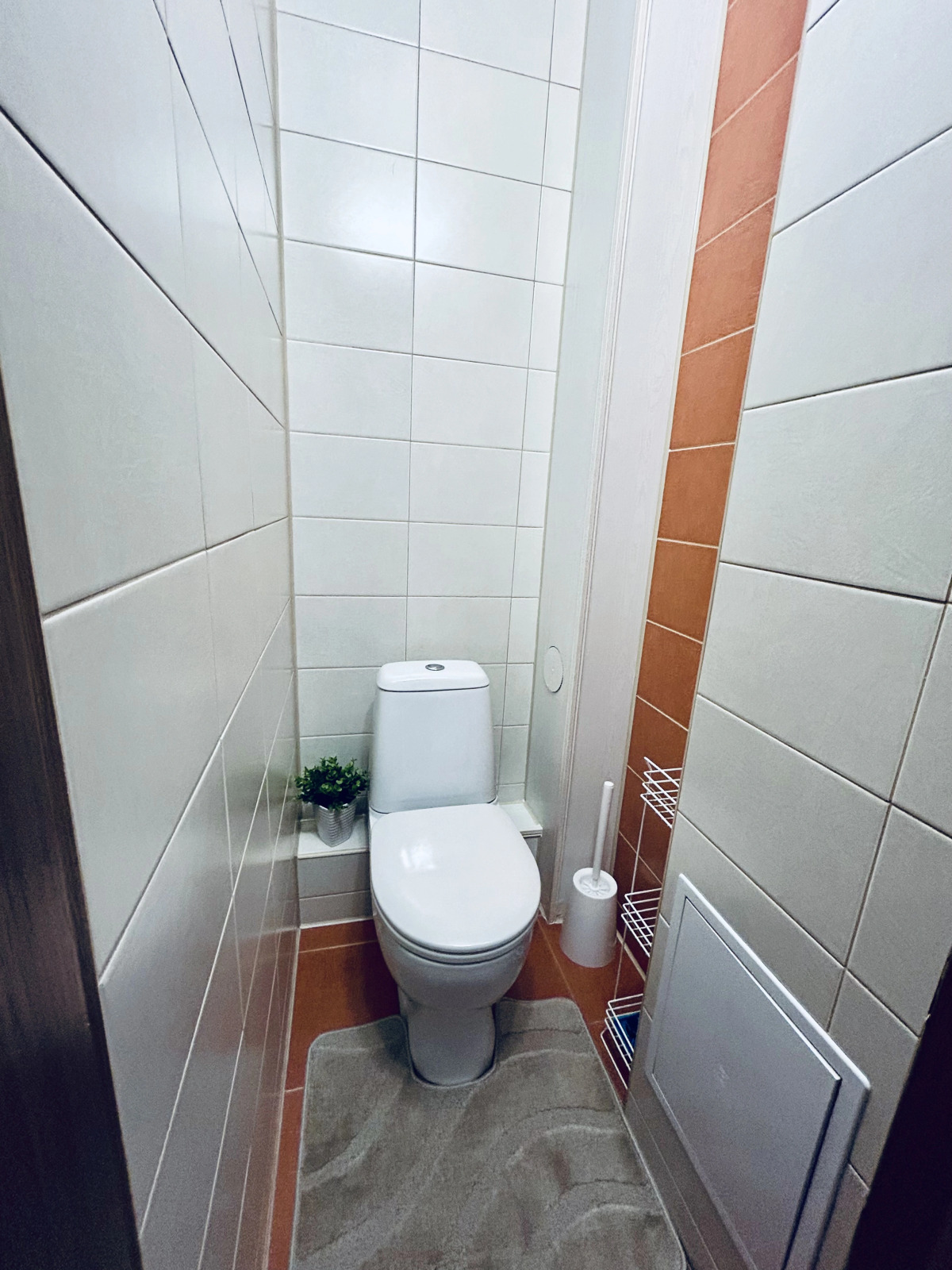 Квартира Уютная просторная однушка (55кв.) с АЛИСОЙ