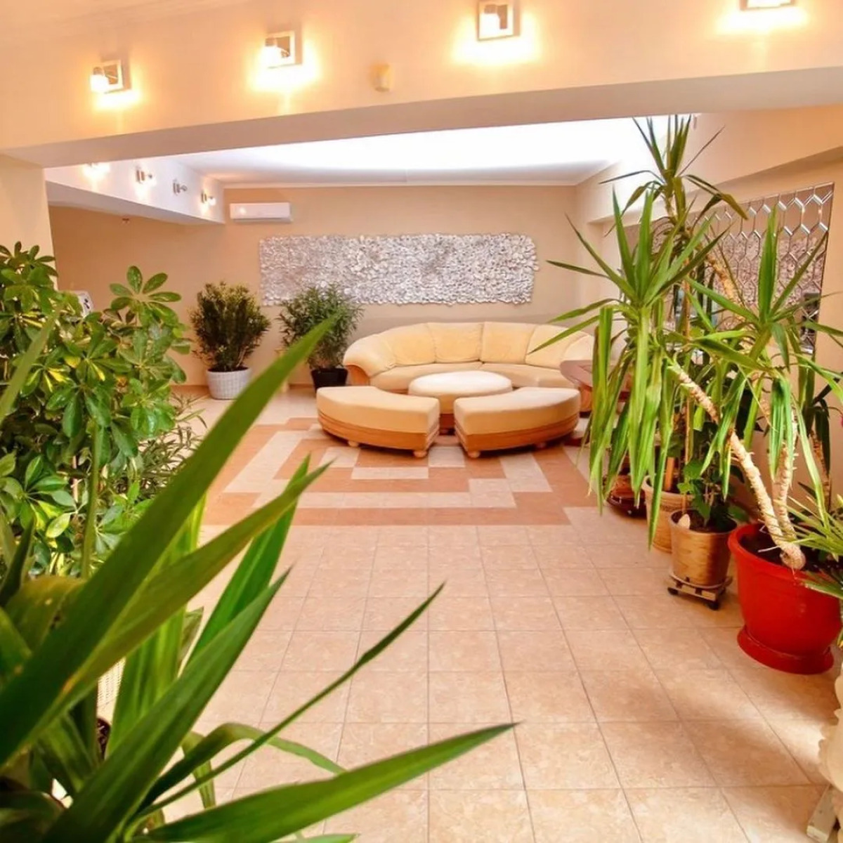 Отель Meduza club