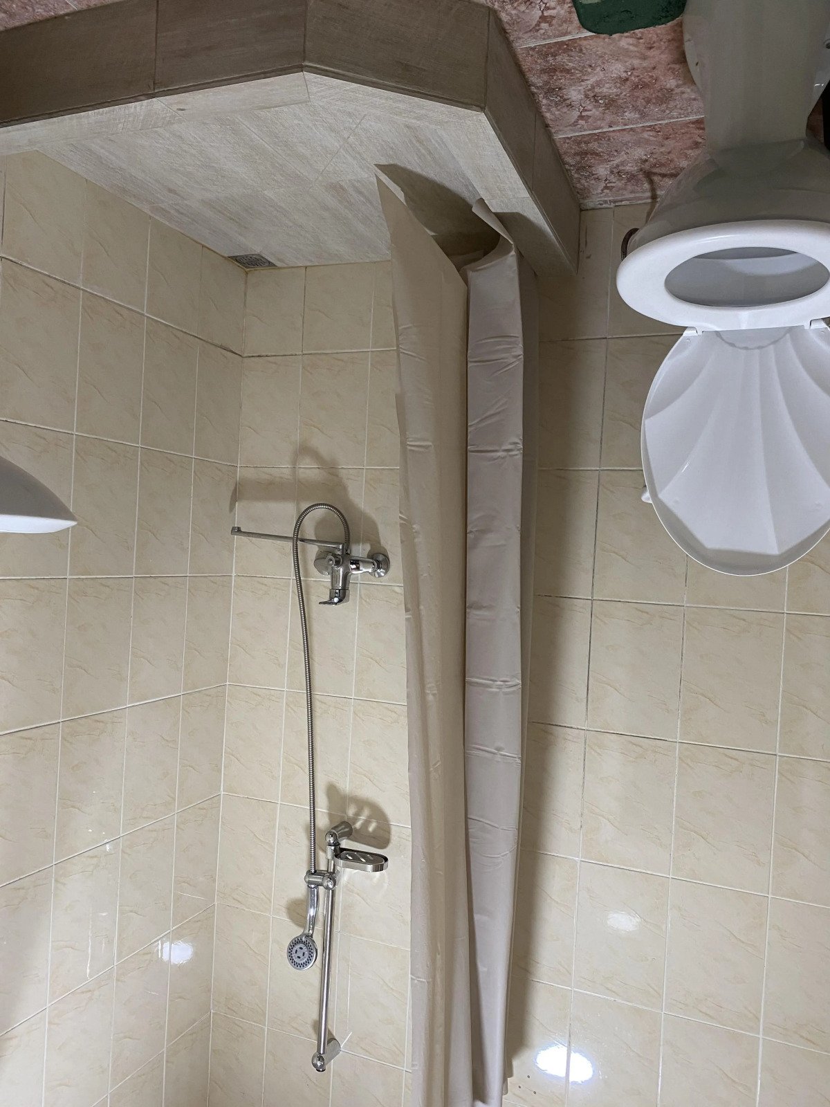 Отель Старый клён