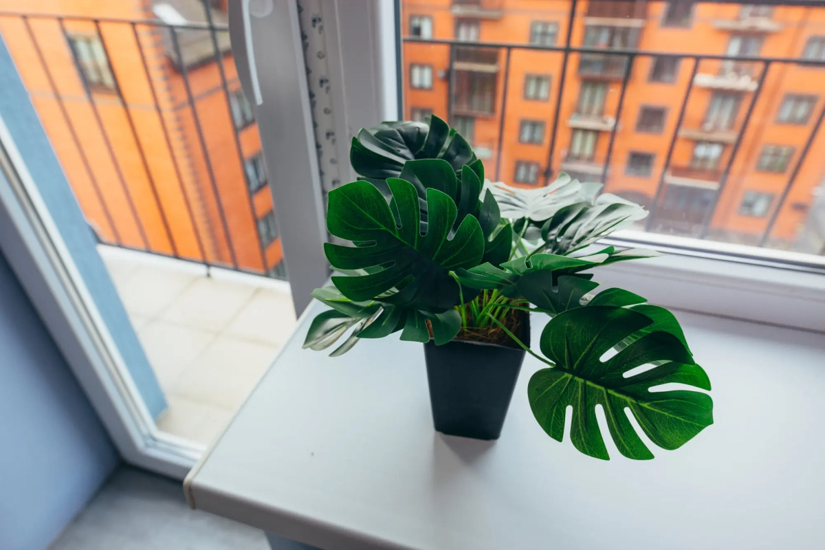 Апартаменты Александра Суворова