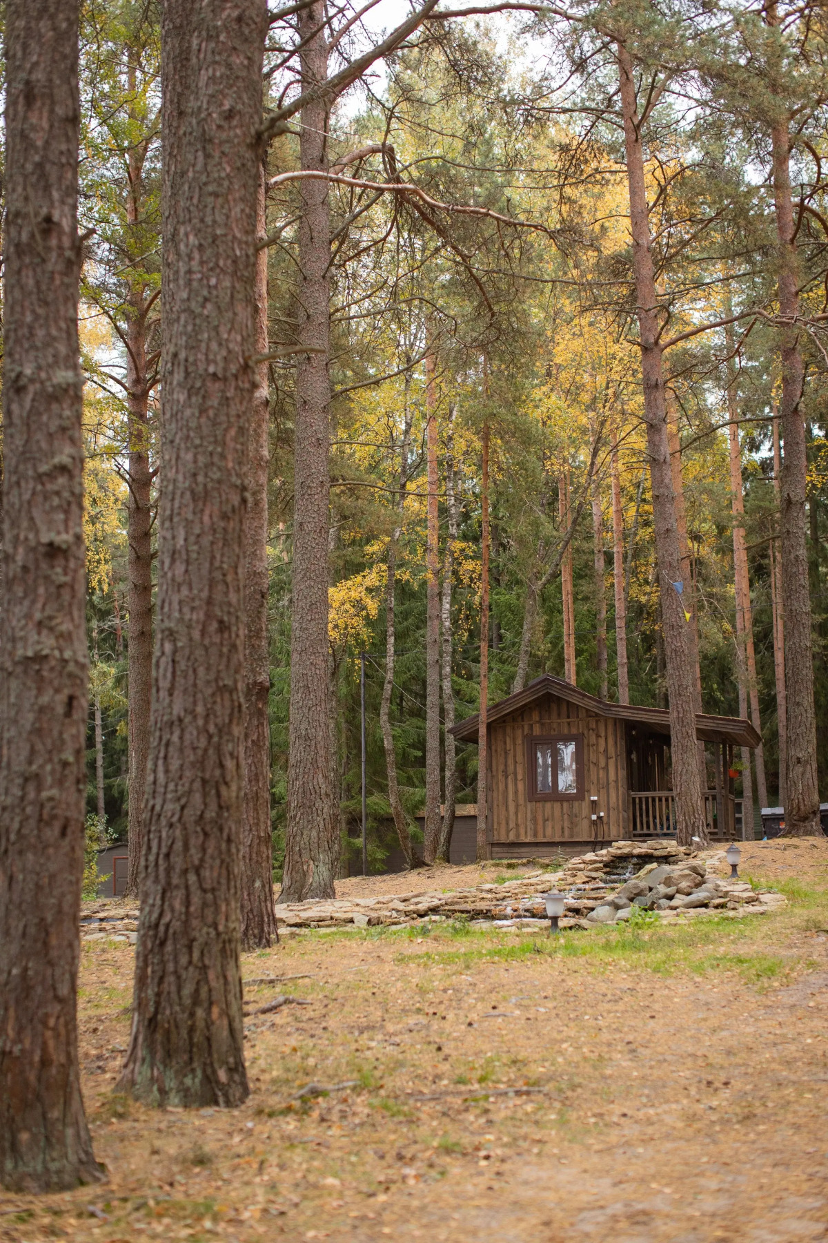 База отдыха Янтарный берег