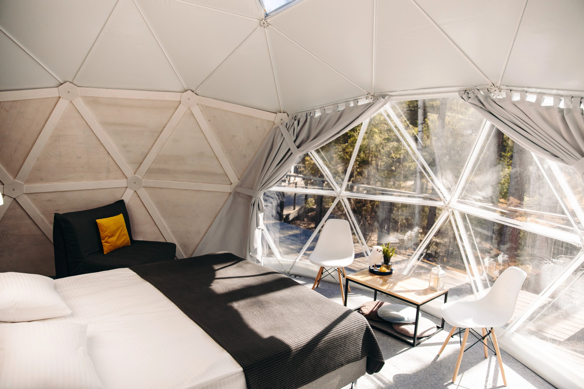 Шале Елки на горке 1