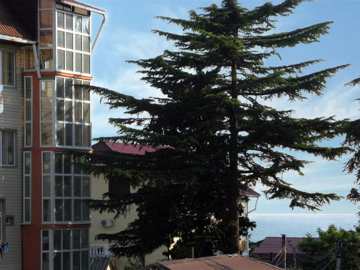 Гостевой Дом Свирский