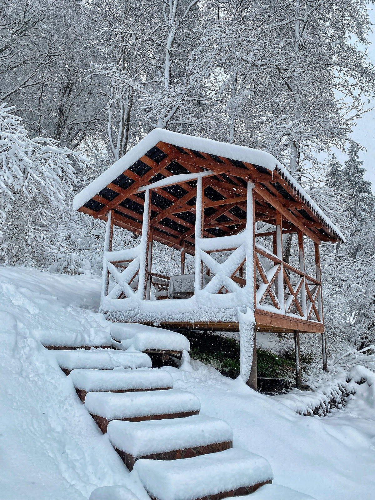 Шале Чинара