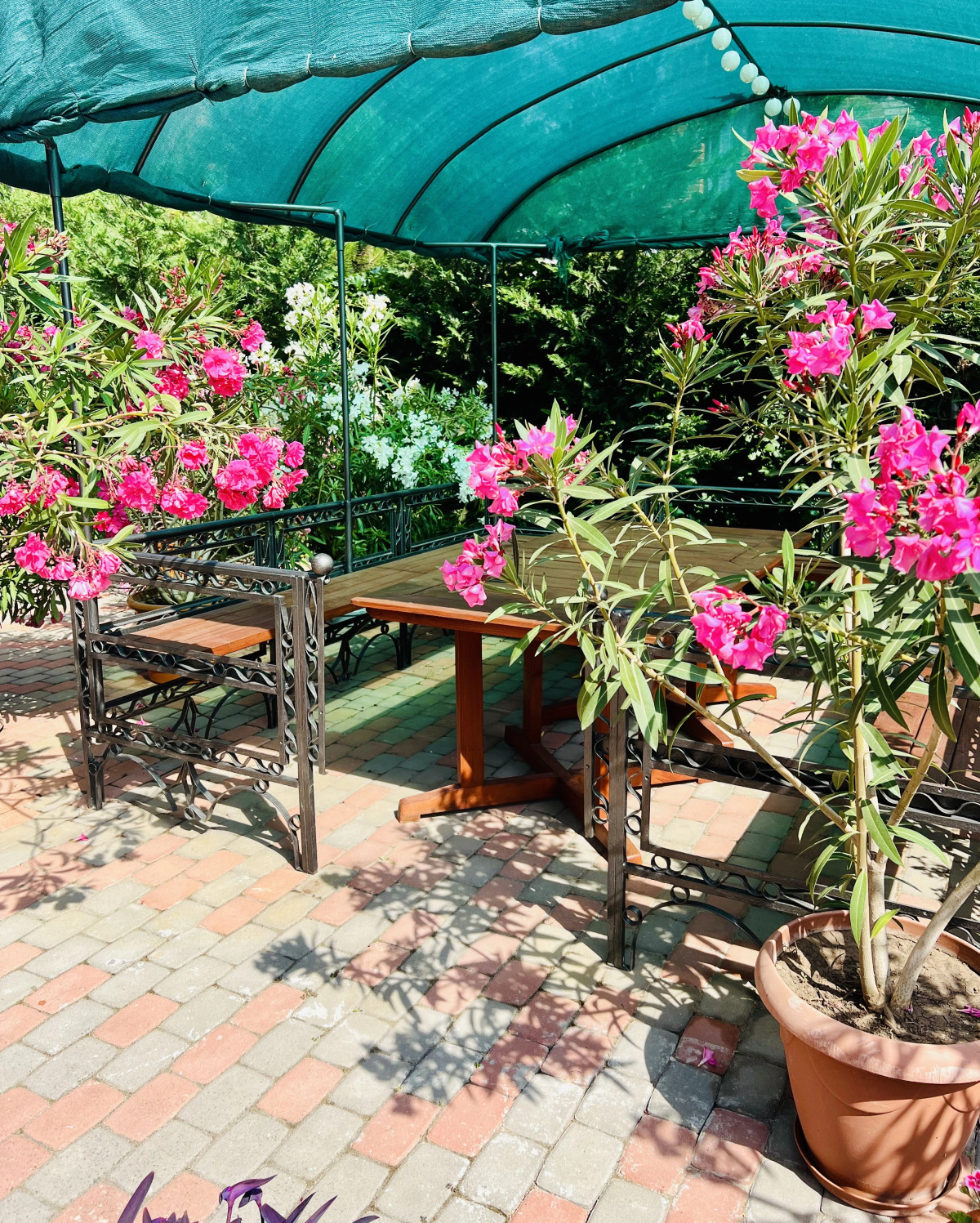 Апартаменты Верона