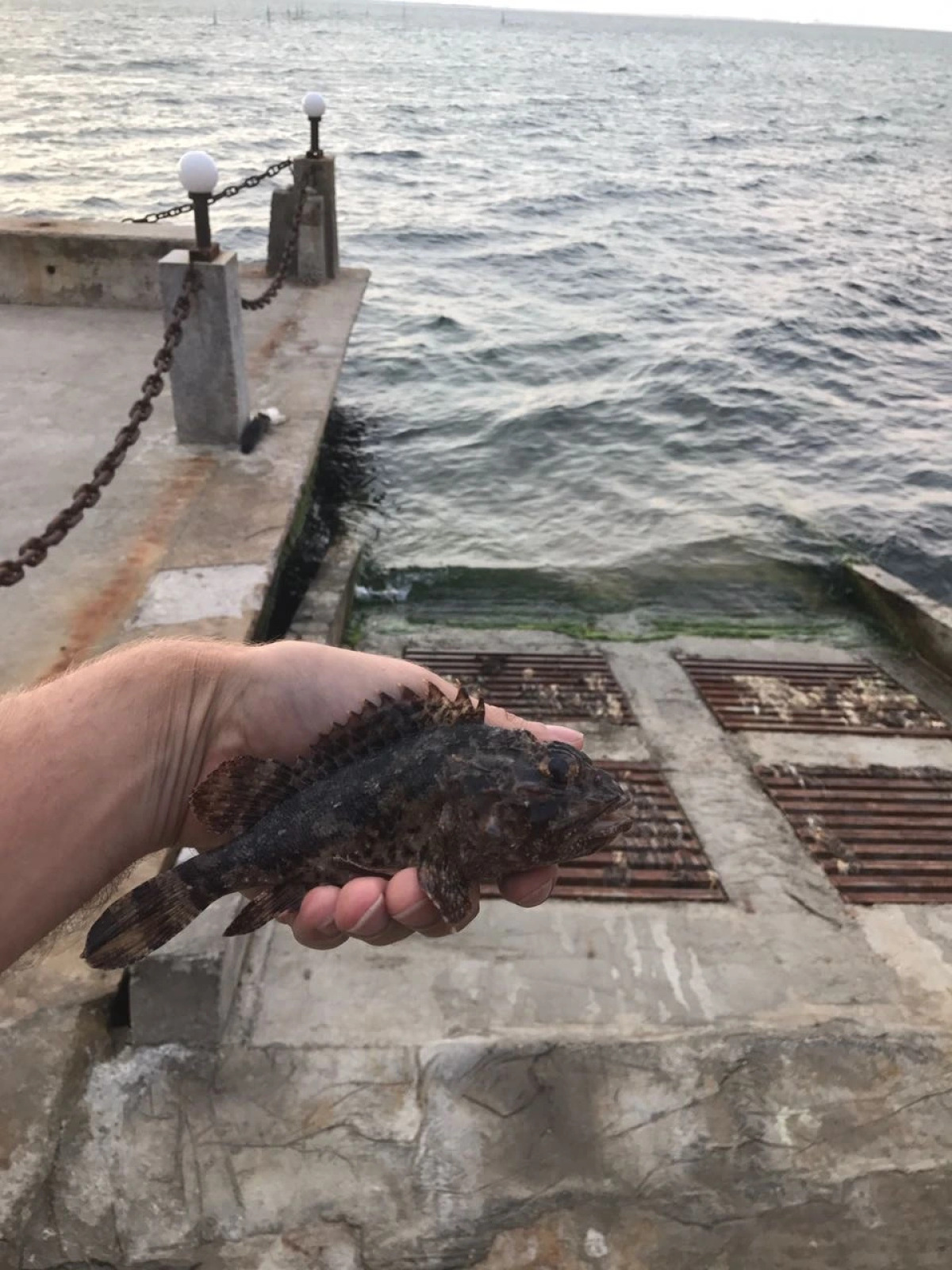 Яхт-клуб Кайрос