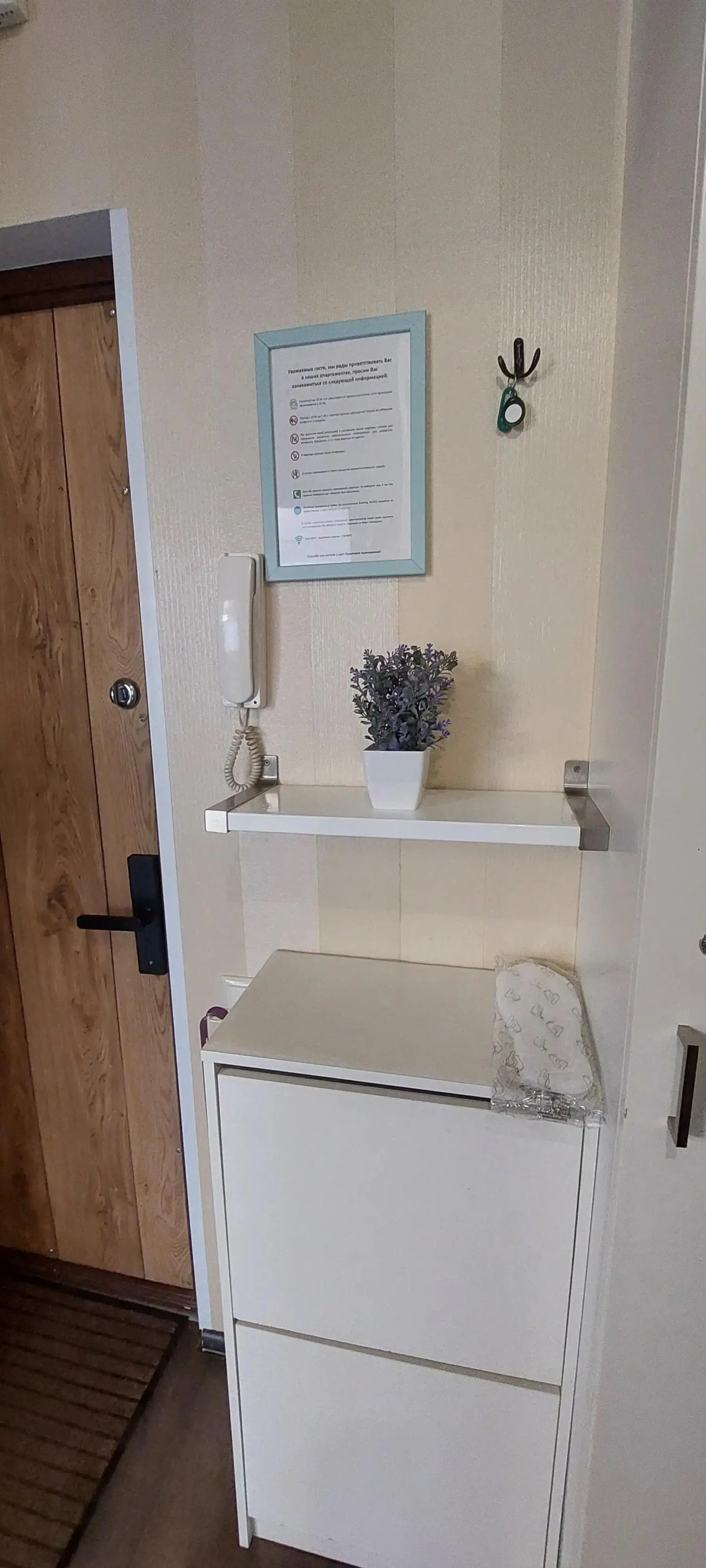 Апартаменты на Ломоносова