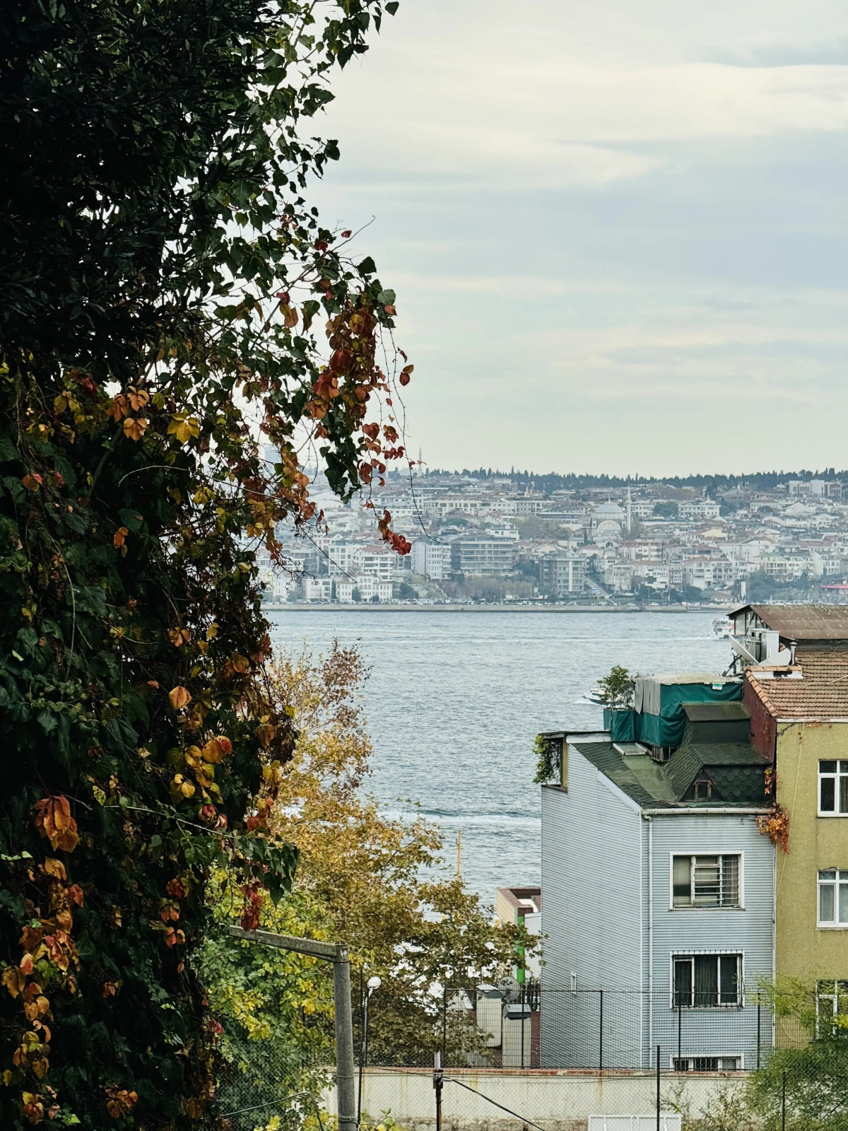 Апартаменты в центре Стамбула