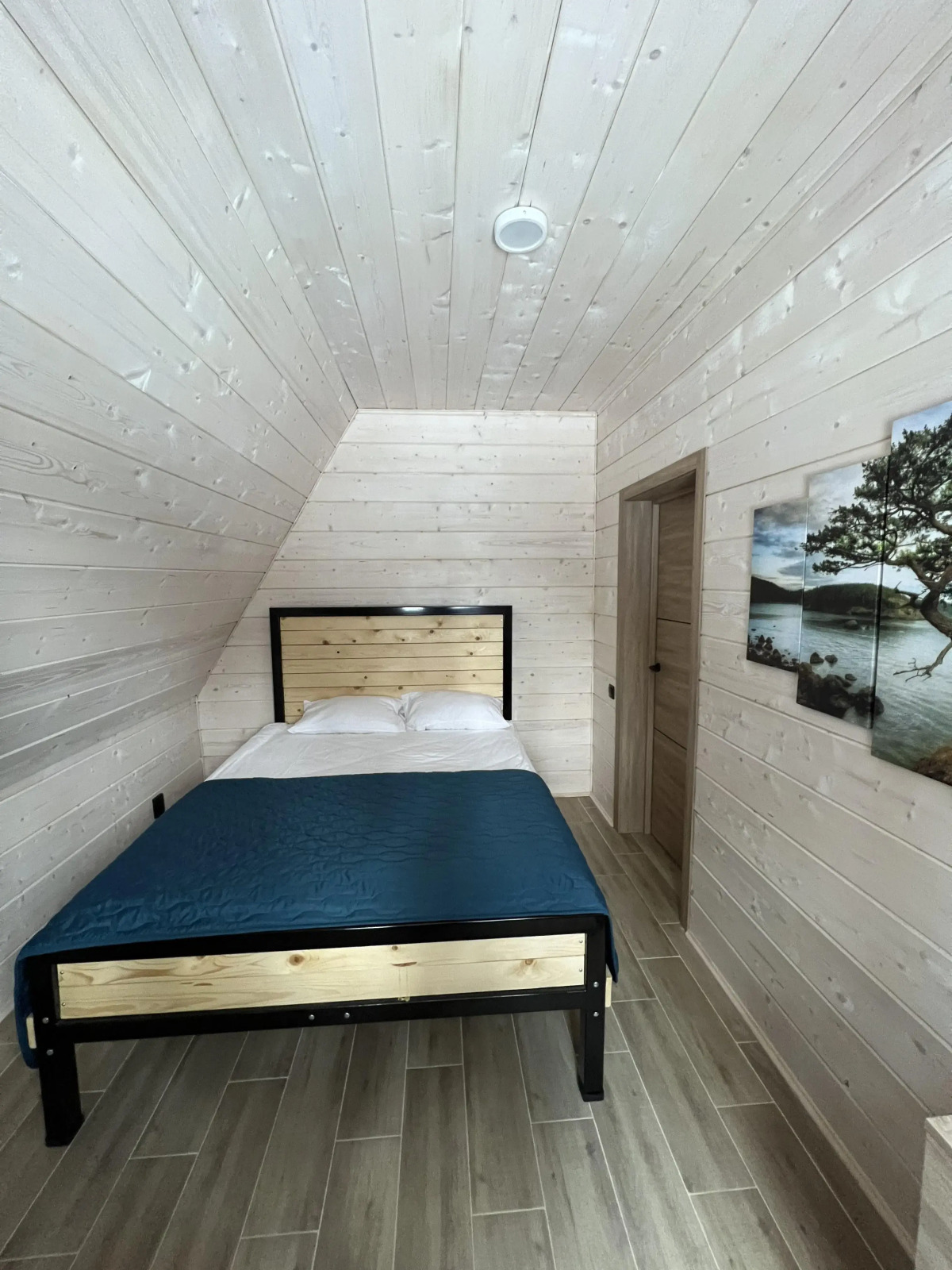 Шале Сосны 1