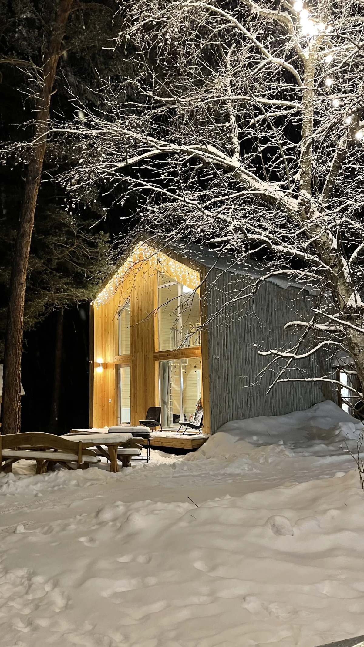 Гостевые дома Шишка