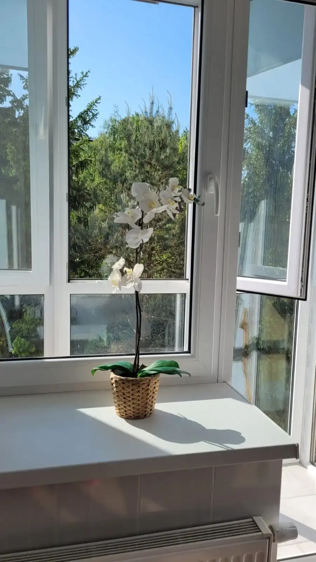 Апартаменты Олимпийский