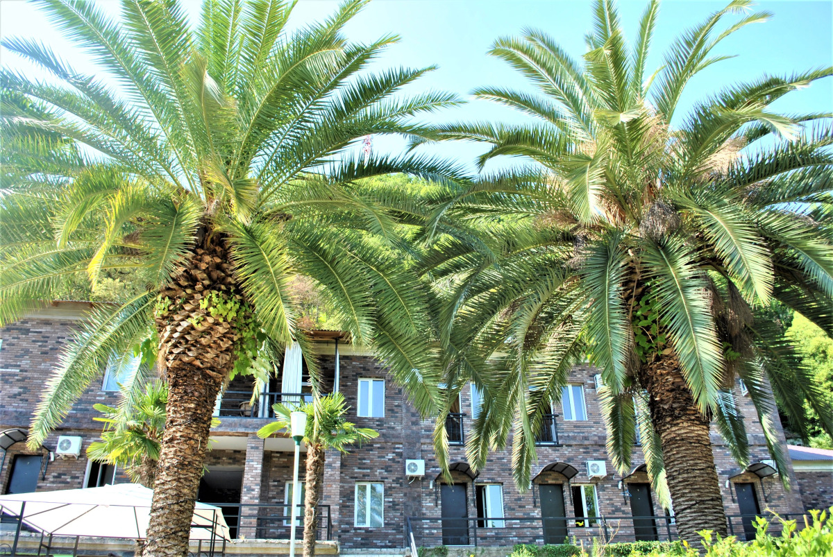 U monastyrja (Novyj Afon)