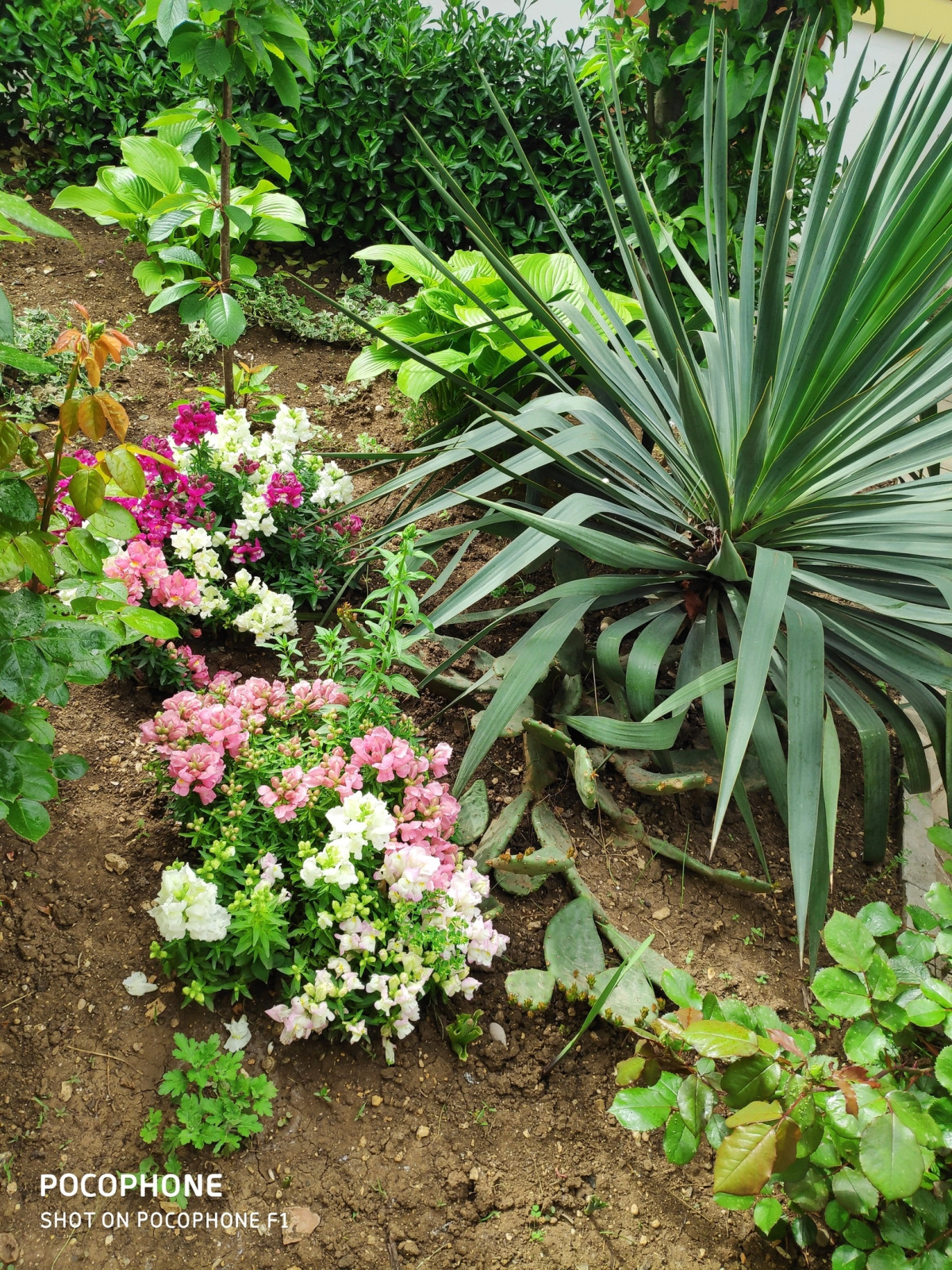 Гостевой Дом У Чижика