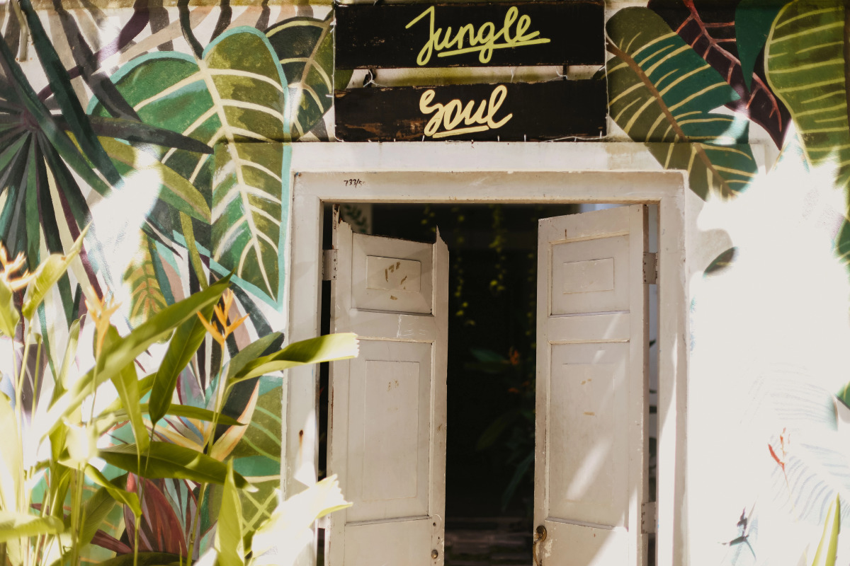 Отель Jungle Soul