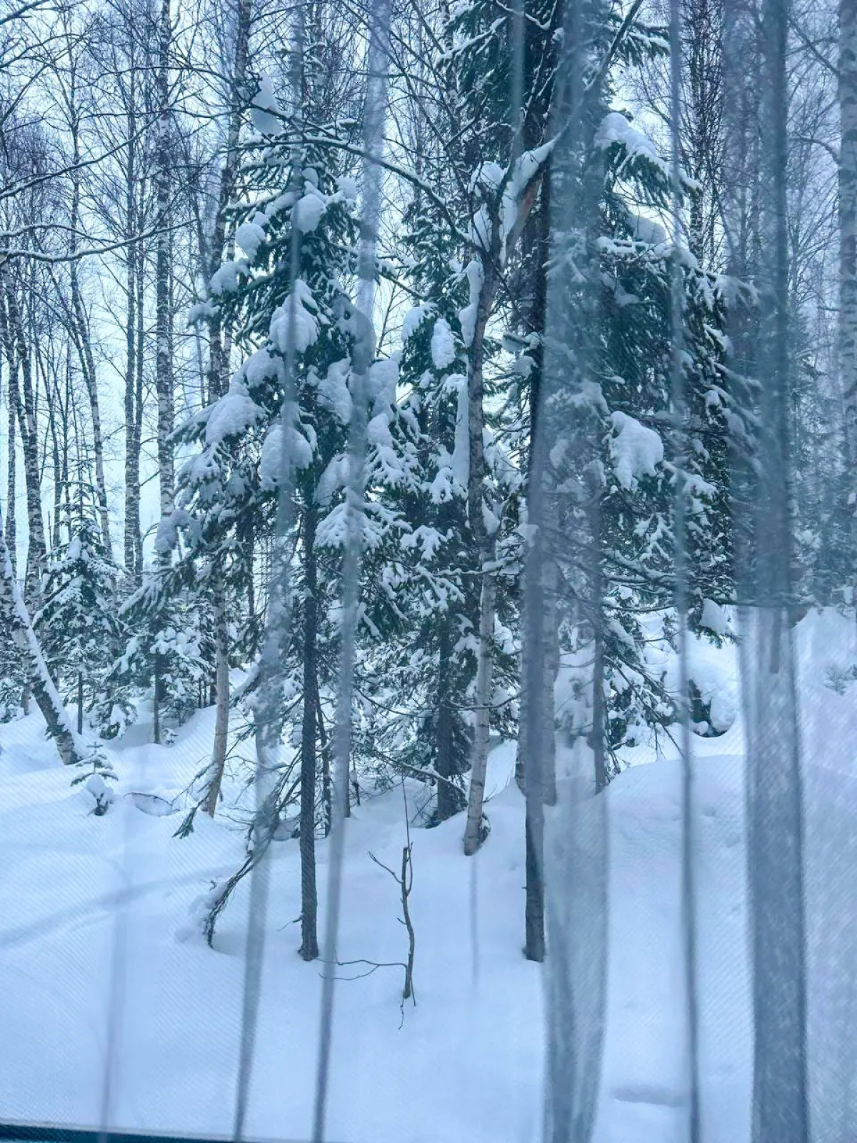 Гостевой Дом Брусника № 1