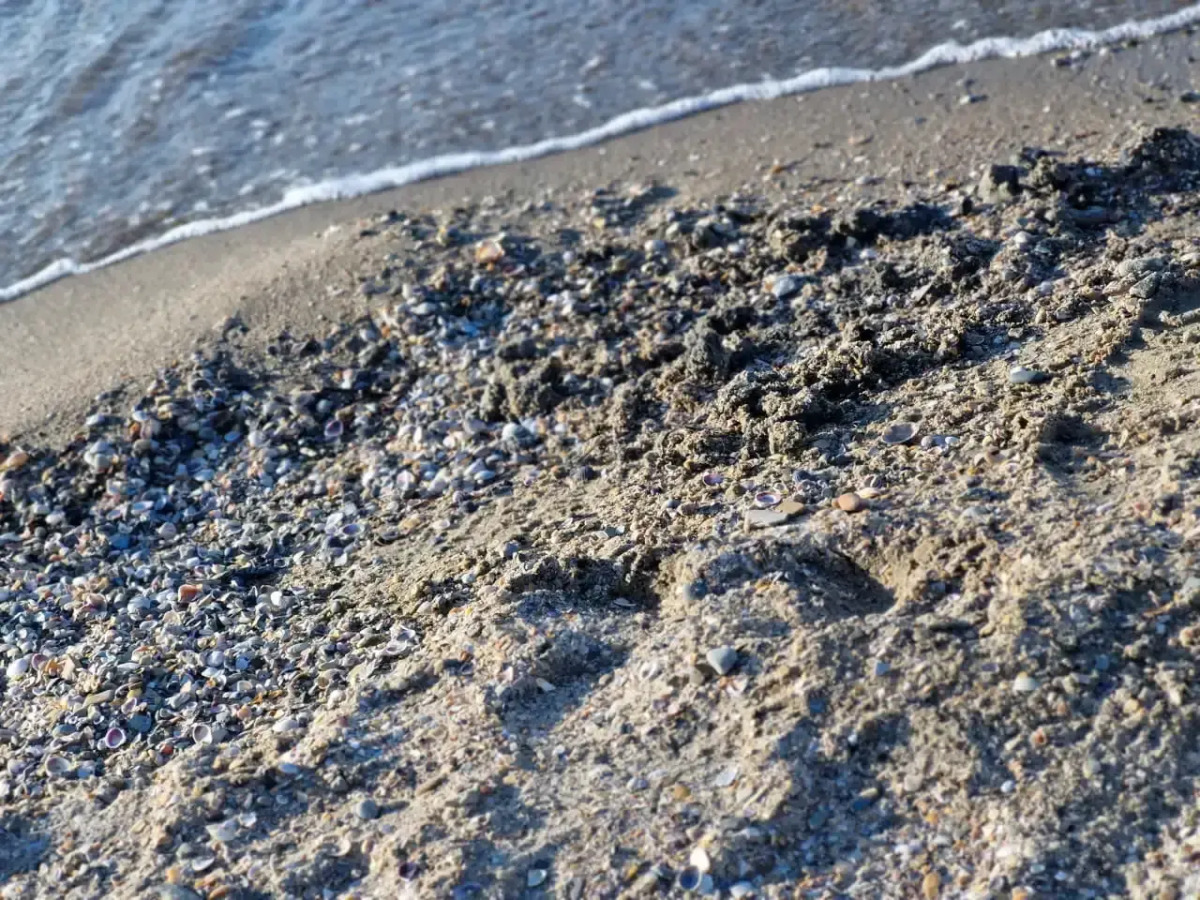 Гостевой Дом More Resort