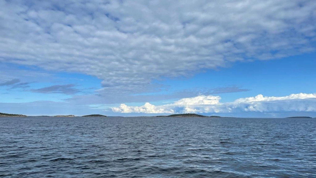 Guest house Гостевой дом