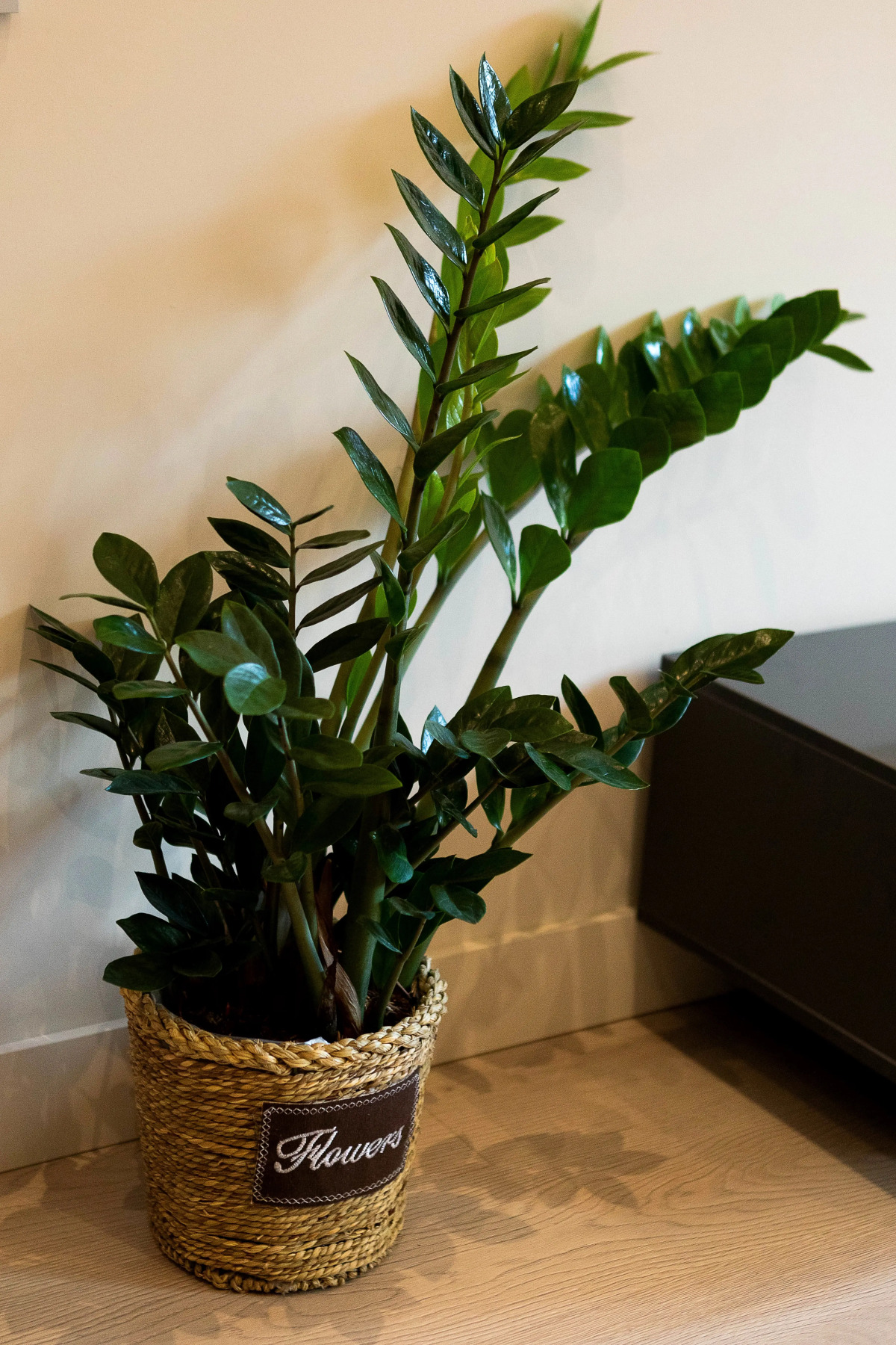 Апартаменты Hello рядом с Замком