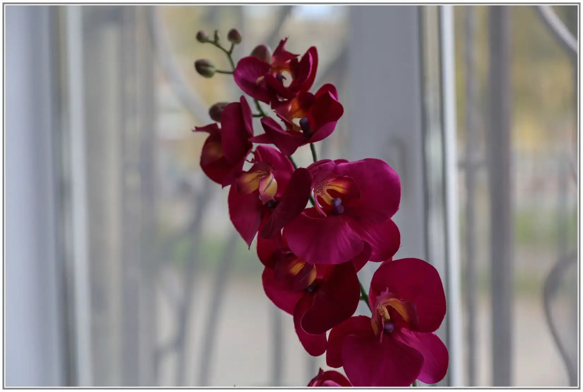 Мини-отель Абажур