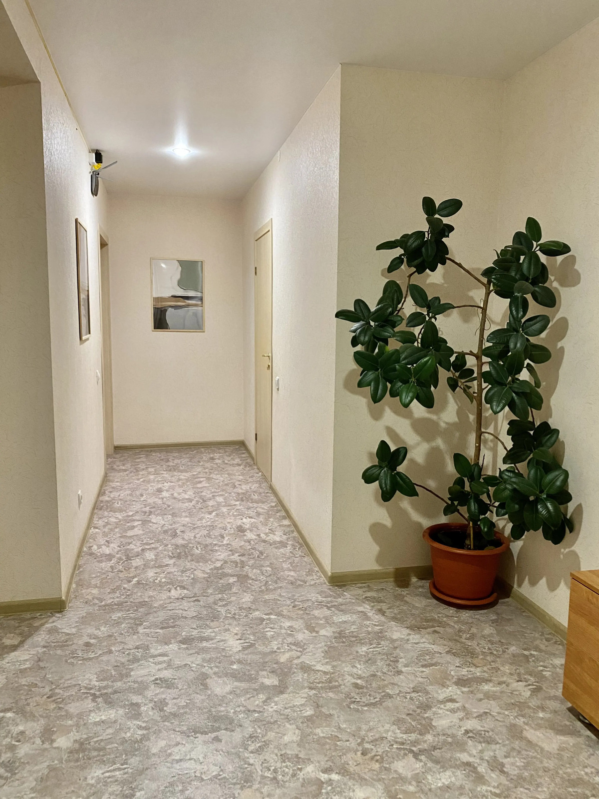 Квартира Куюки