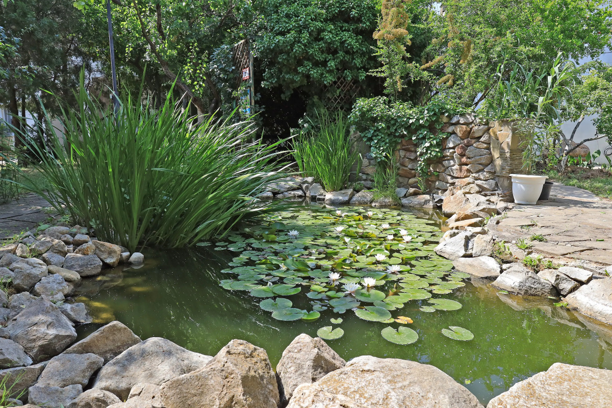 Гостевой дом Парк-отель Казантип Центр