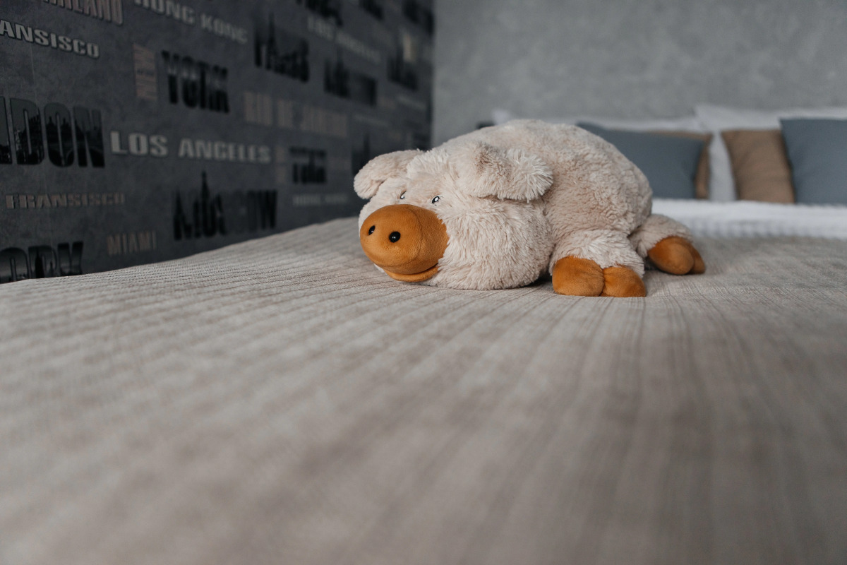 Квартира Студия у моста