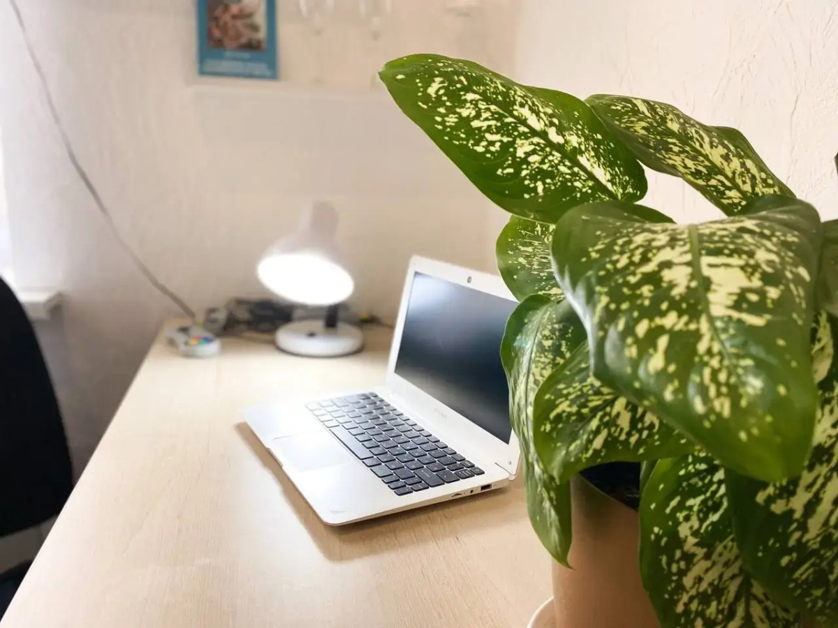 Апартаменты Счастье Жить в центре Севастополя