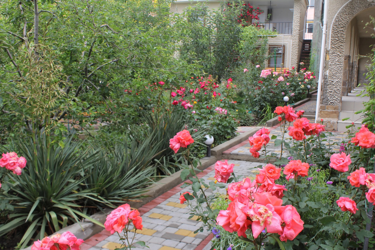 Гостевой Дом Елена