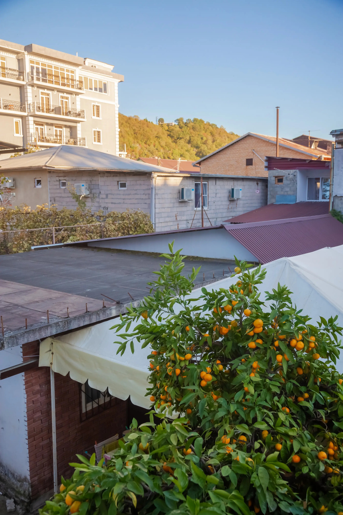 Меблированные комнаты Никус