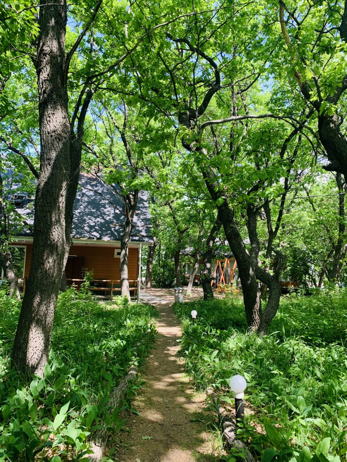 Парк-Отель Риверсайд