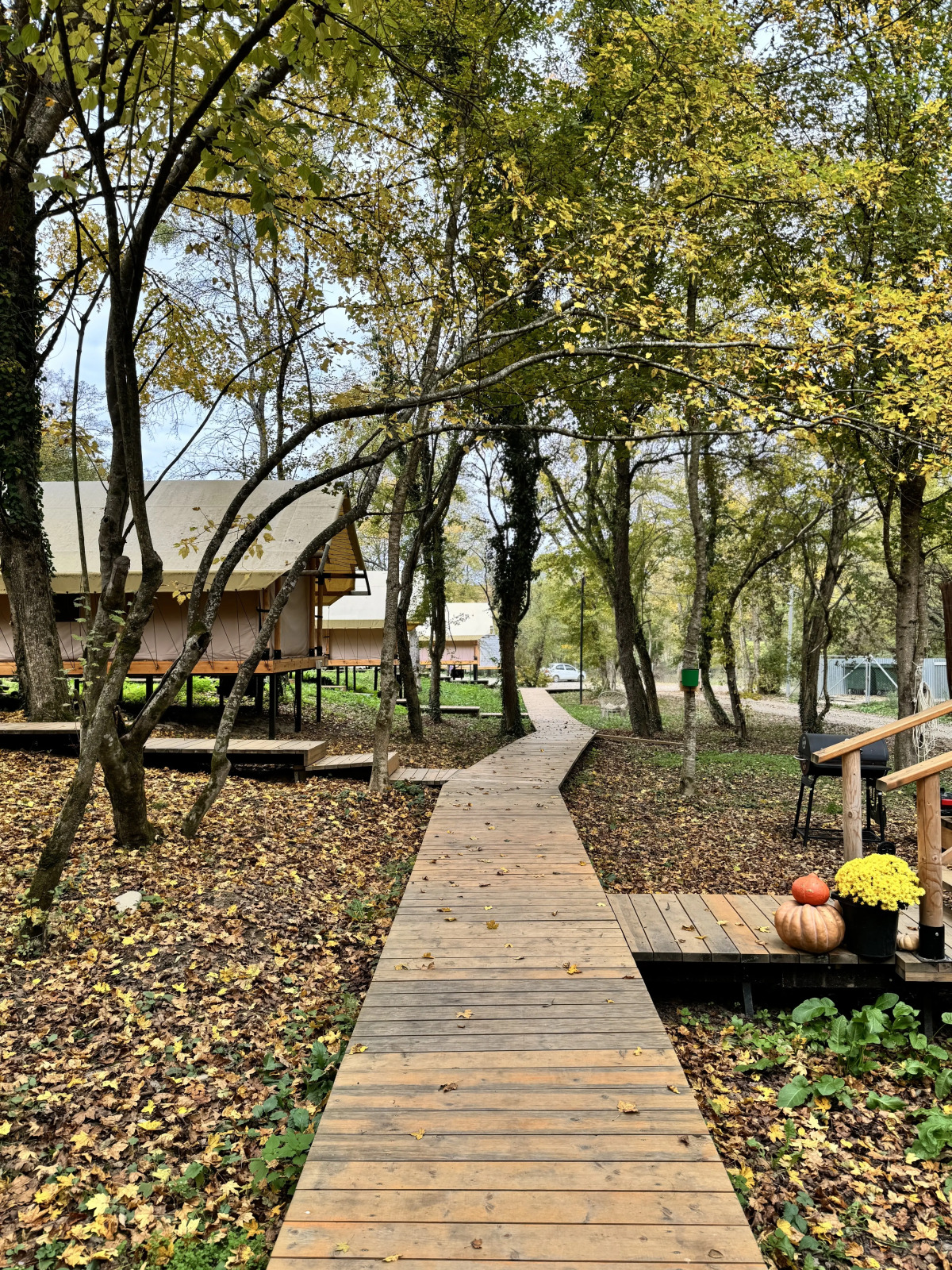 Глэмпинг Белый Кролик