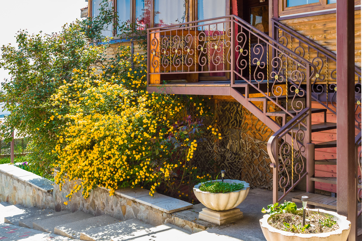 Гостевой Дом Горная Антавия