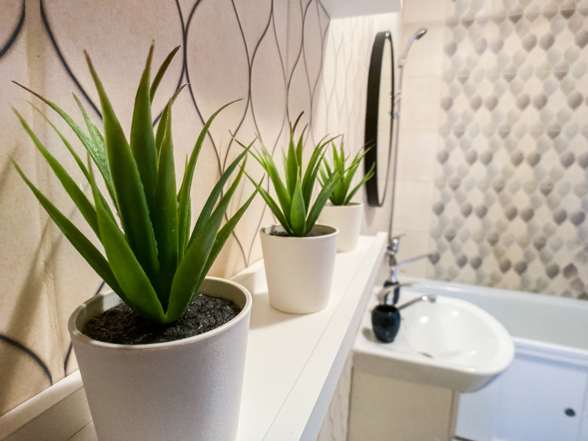 Apart59 | Классические двухкомнатные апартаменты SHARMAN с камином