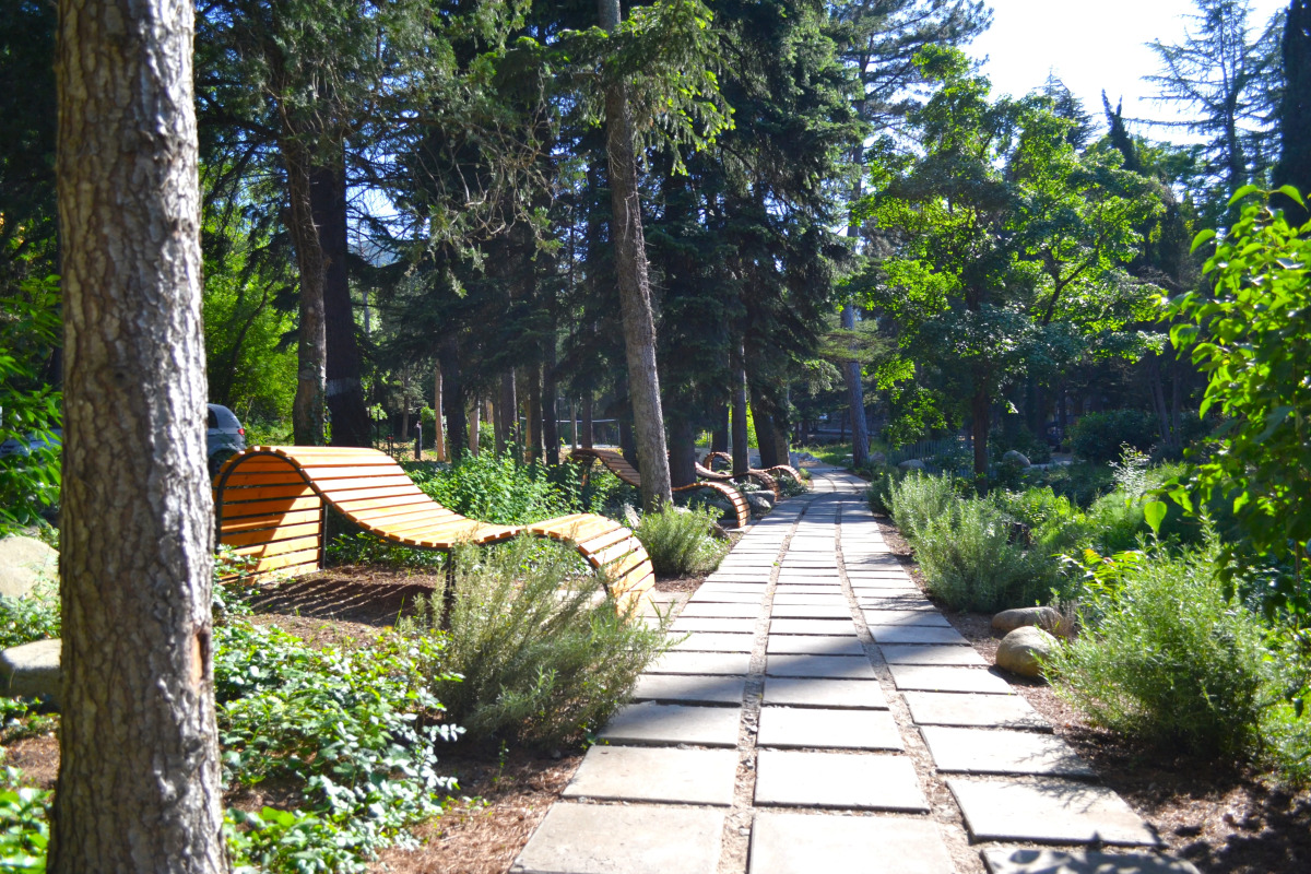 Санаторий Лес